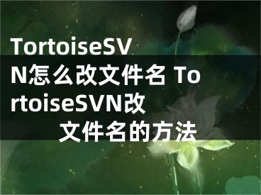 TortoiseSVN怎么改文件名 TortoiseSVN改文件名的方法