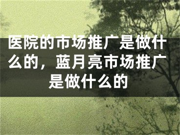 医院的市场推广是做什么的，蓝月亮市场推广是做什么的