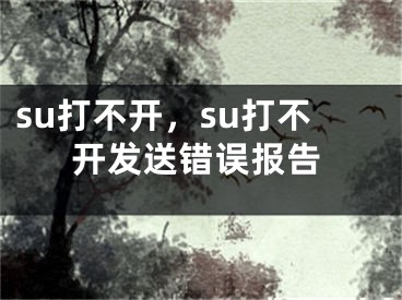 su打不开，su打不开发送错误报告