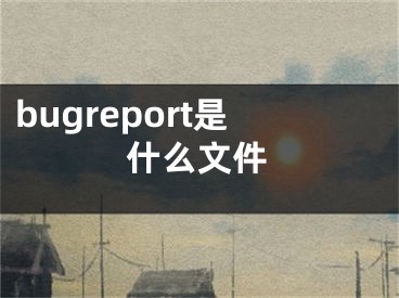 bugreport是什么文件