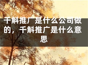 千斛推广是什么公司做的，千斛推广是什么意思 