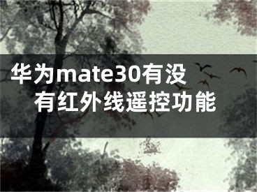 华为mate30有没有红外线遥控功能