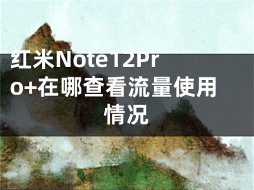 红米Note12Pro+在哪查看流量使用情况