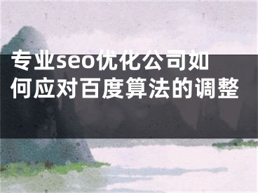 专业seo优化公司如何应对百度算法的调整 