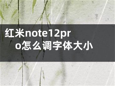 红米note12pro怎么调字体大小