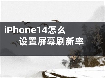 iPhone14怎么设置屏幕刷新率
