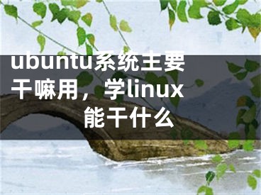 ubuntu系统主要干嘛用，学linux能干什么