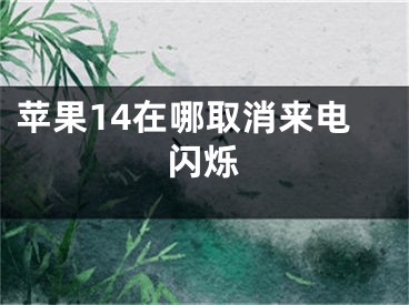 苹果14在哪取消来电闪烁
