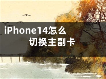 iPhone14怎么切换主副卡