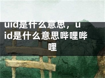 uid是什么意思，uid是什么意思哔哩哔哩