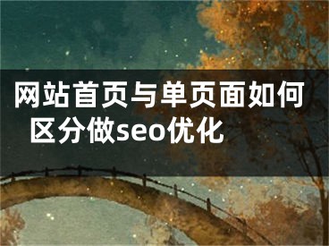 网站首页与单页面如何区分做seo优化 