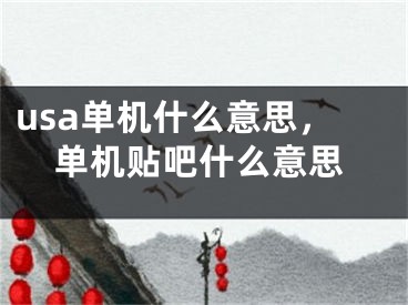 usa单机什么意思，单机贴吧什么意思