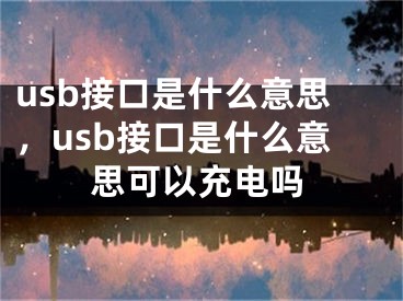 usb接口是什么意思，usb接口是什么意思可以充电吗