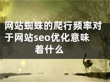 网站蜘蛛的爬行频率对于网站seo优化意味着什么 