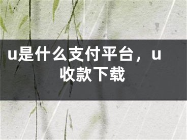 u是什么支付平台，u收款下载