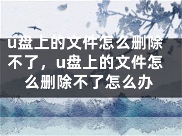 u盘上的文件怎么删除不了，u盘上的文件怎么删除不了怎么办