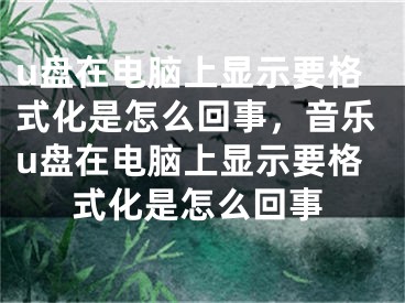 u盘在电脑上显示要格式化是怎么回事，音乐u盘在电脑上显示要格式化是怎么回事