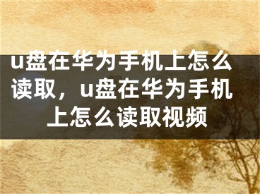 u盘在华为手机上怎么读取，u盘在华为手机上怎么读取视频