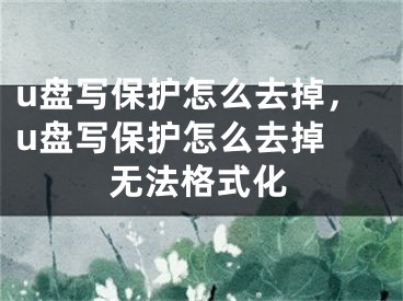 u盘写保护怎么去掉，u盘写保护怎么去掉 无法格式化