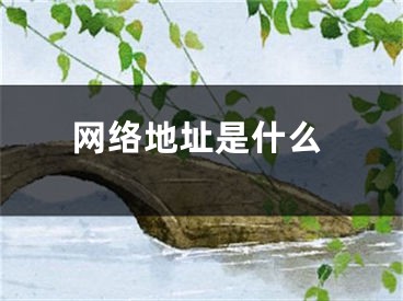 网络地址是什么