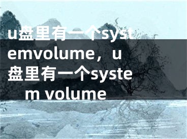 u盘里有一个systemvolume，u盘里有一个system volume