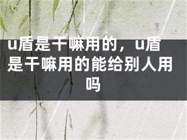 u盾是干嘛用的，u盾是干嘛用的能给别人用吗