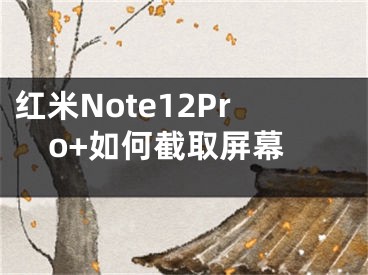 红米Note12Pro+如何截取屏幕