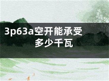 3p63a空开能承受多少千瓦