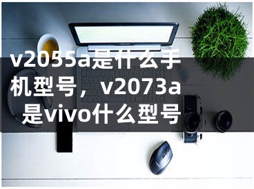 v2055a是什么手机型号，v2073a是vivo什么型号