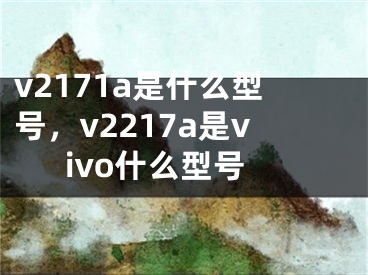 v2171a是什么型号，v2217a是vivo什么型号