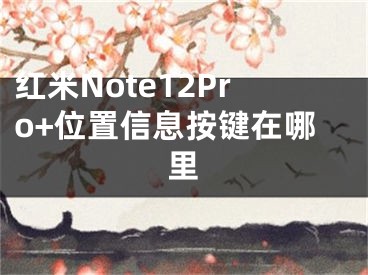 红米Note12Pro+位置信息按键在哪里