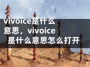 vivoice是什么意思，vivoice是什么意思怎么打开