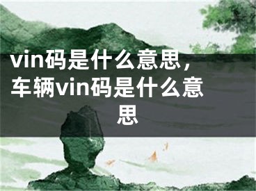 vin码是什么意思，车辆vin码是什么意思