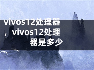 vivos12处理器，vivos12处理器是多少