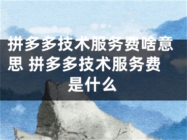 拼多多技术服务费啥意思 拼多多技术服务费是什么