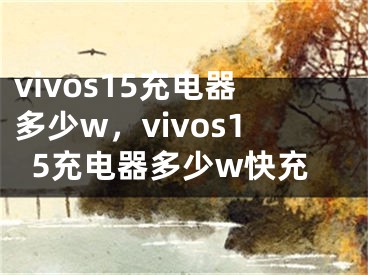 vivos15充电器多少w，vivos15充电器多少w快充