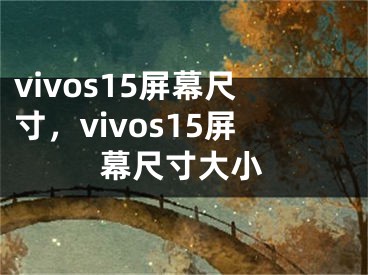 vivos15屏幕尺寸，vivos15屏幕尺寸大小