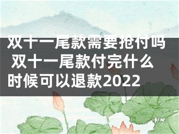 双十一尾款需要抢付吗 双十一尾款付完什么时候可以退款2022