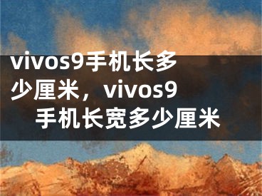 vivos9手机长多少厘米，vivos9手机长宽多少厘米