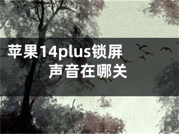 苹果14plus锁屏声音在哪关