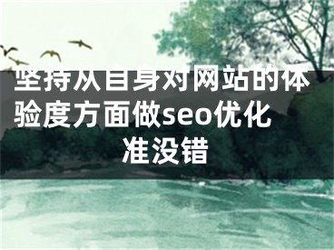 坚持从自身对网站的体验度方面做seo优化准没错