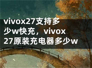 vivox27支持多少w快充，vivox27原装充电器多少w