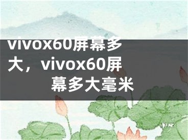 vivox60屏幕多大，vivox60屏幕多大毫米