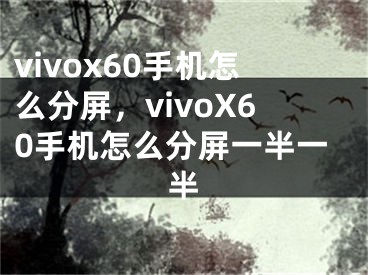 vivox60手机怎么分屏，vivoX60手机怎么分屏一半一半