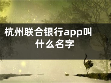 杭州联合银行app叫什么名字