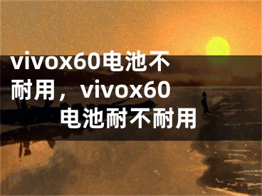 vivox60电池不耐用，vivox60电池耐不耐用