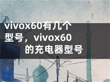 vivox60有几个型号，vivox60的充电器型号