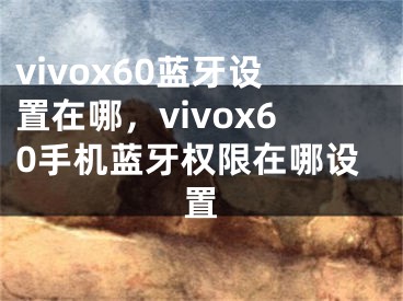 vivox60蓝牙设置在哪，vivox60手机蓝牙权限在哪设置