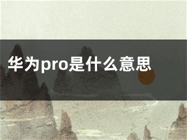 华为pro是什么意思