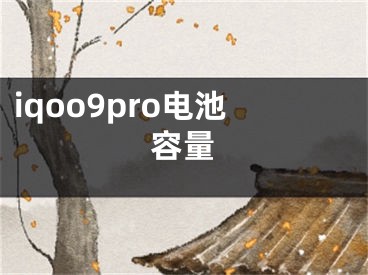 iqoo9pro电池容量